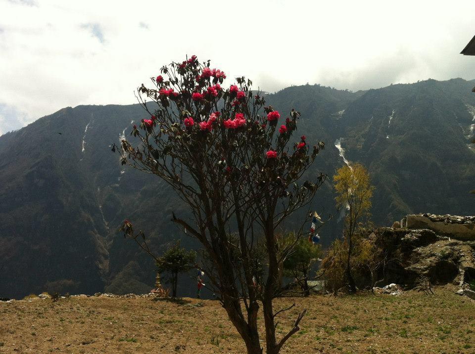 Nāmche Bāzār Hotel Namche מראה חיצוני תמונה